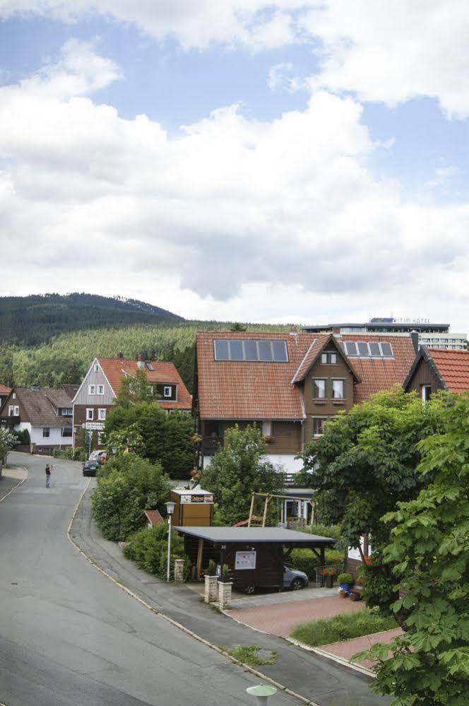 Strandberg'S Harzchalet Braunlage Extérieur photo